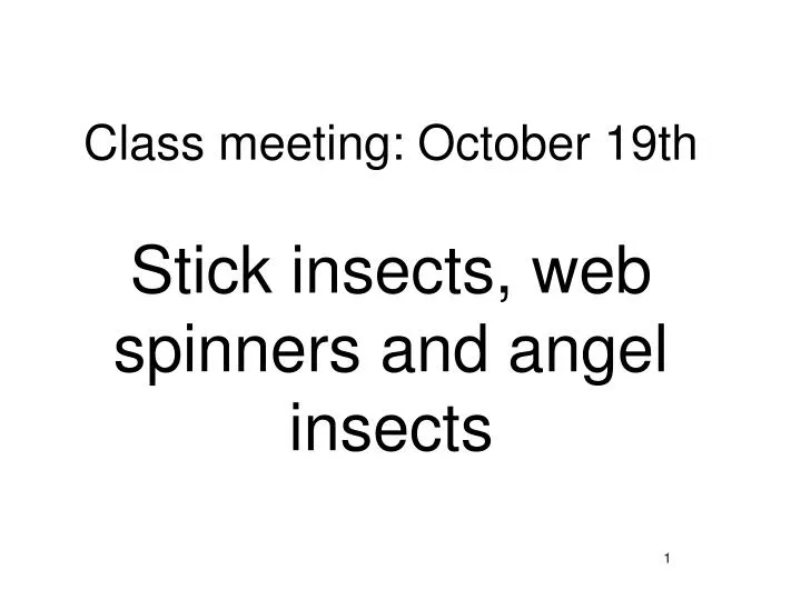 class meeting october 19th stick insects web spinners and angel insects