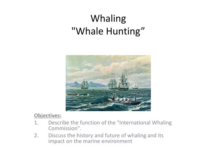 whaling whale hunting