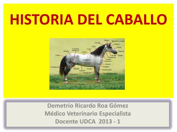 historia del caballo