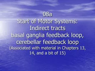 Overview of the motor systems