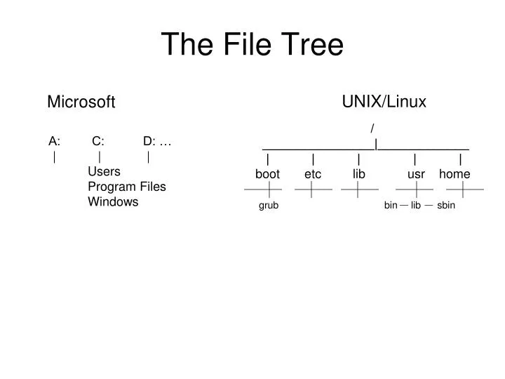 the file tree
