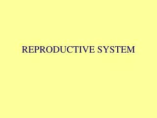 REPRODUCTIVE SYSTEM