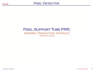 Pixel Support Tube PRR: Assembly, Production, Schedule February 2003