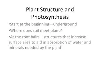 Plant Structure and Photosynthesis
