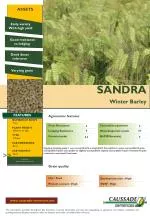 SANDRA Winter Barley - slide 1