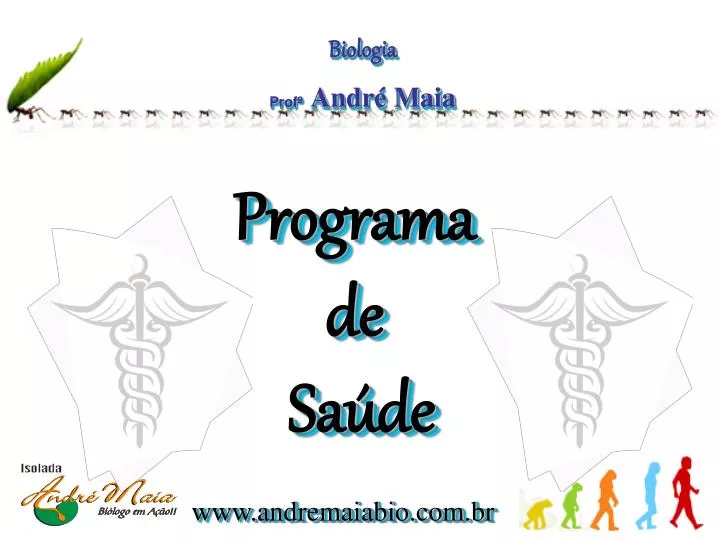 programa de sa de