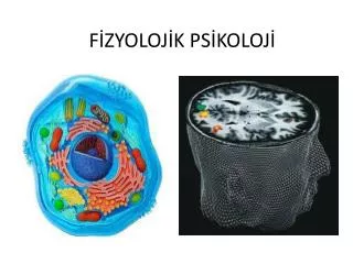 f zyoloj k ps koloj