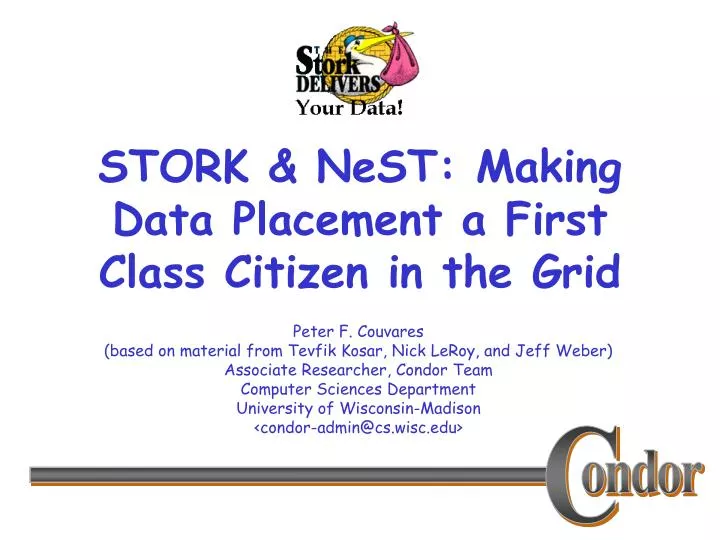 stork nest making data placement a first class citizen in the grid
