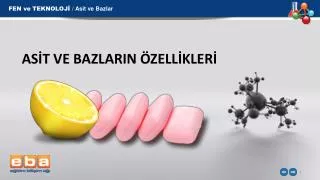 as t ve bazlarin zell kler