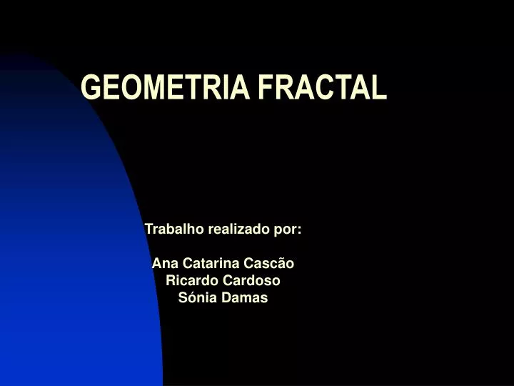 geometria fractal
