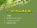 五、蛋白質的合成與運送 - slide 1