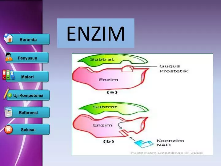 enzim