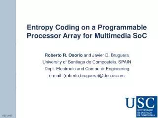 Entropy Coding on a Programmable Processor Array for Multimedia SoC