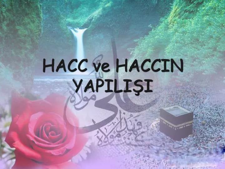 hacc ve haccin yapili i