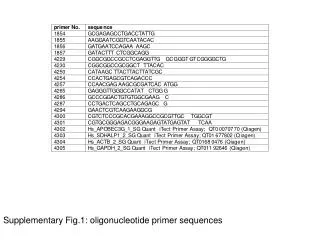 Supplementary Fig.1: oligonucleotide primer sequences