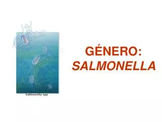 g nero salmonella