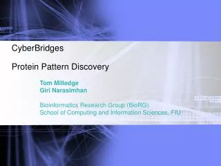 CyberBridges Protein Pattern Discovery