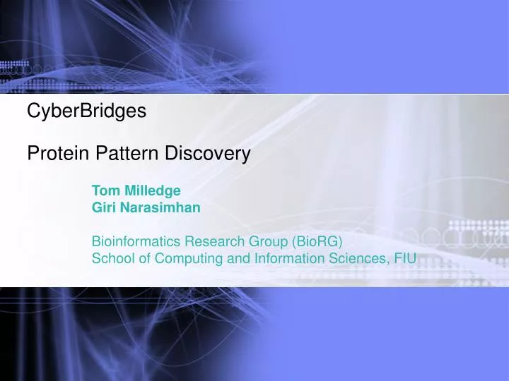 cyberbridges protein pattern discovery