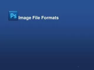 Image File Formats