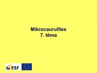mikrocaurul tes 7 t ma