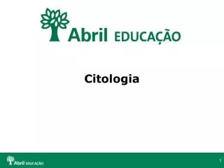 citologia