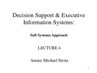 Decision Support &amp; Executive Information Systems: Soft Systems Approach