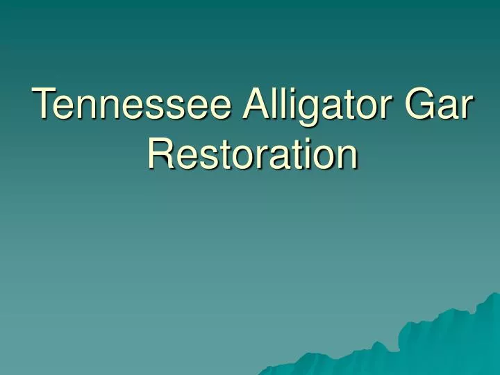 tennessee alligator gar restoration