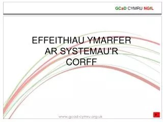 effeithiau ymarfer ar systemau r corff