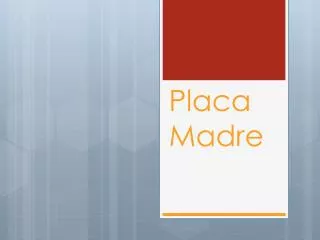 placa madre