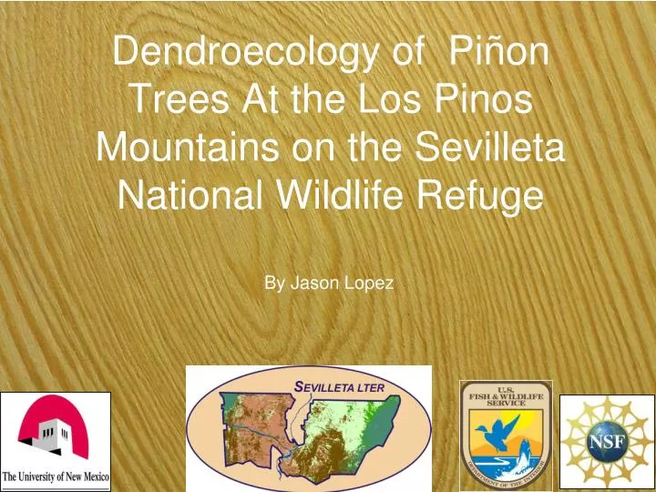 dendroecology of pi on trees at the los pinos mountains on the sevilleta national wildlife refuge