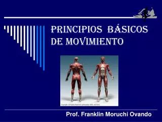principios b sicos de movimiento