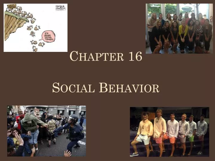 chapter 16 social behavior