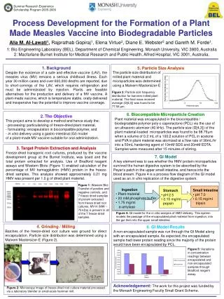 Small Intestine pH 7.0 0.15 mg/ml tripsin