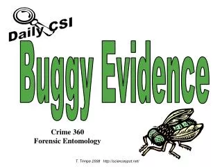 Buggy Evidence