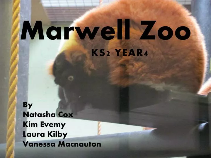 marwell zoo