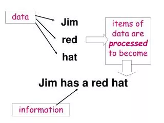 Jim red hat