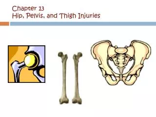 Chapter 13 Hip, Pelvis, and Thigh Injuries