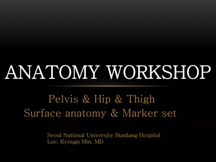 anatomy workshop
