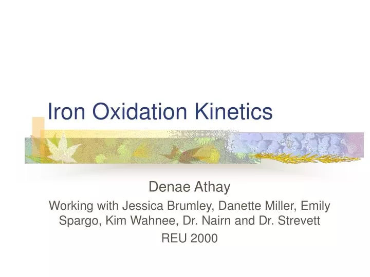 iron oxidation kinetics