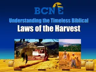 Understanding the Timeless Biblical Laws of the Harvest