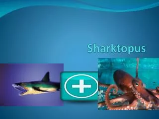 sharktopus