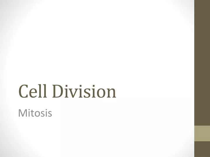 cell division