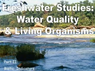 Freshwater Studies: Water Quality &amp; Living Organisms