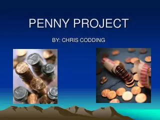 PENNY PROJECT