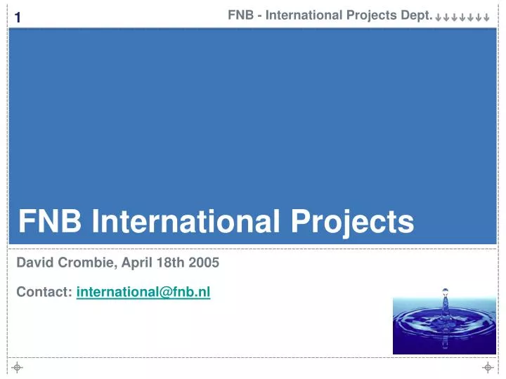 fnb international projects