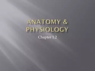 Anatomy &amp; Physiology