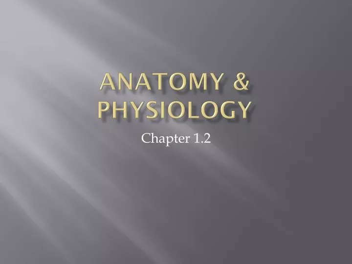 anatomy physiology