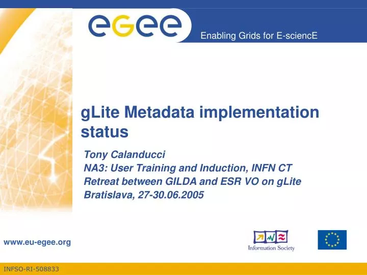 glite metadata implementation status