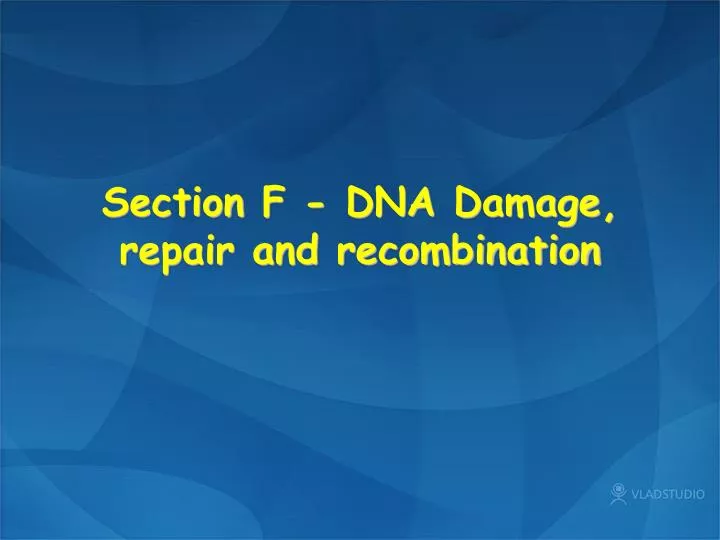 section f dna damage repair and recombination