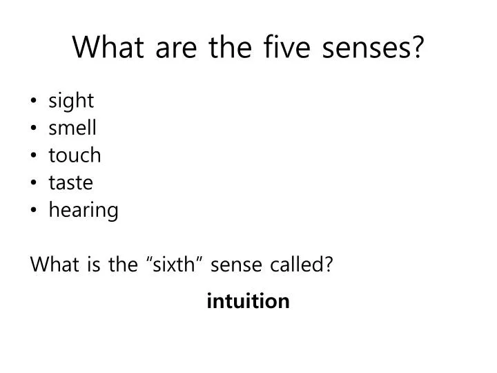 what are the five senses